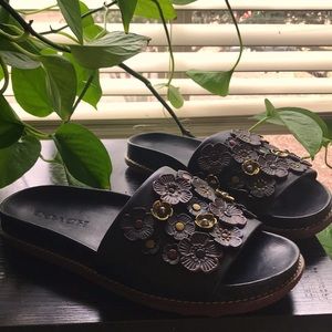 Coach Tea Rose Shoes